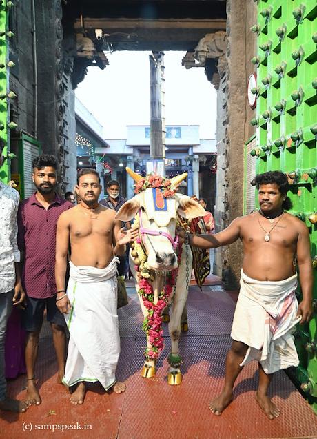 Mattu Pongal 2024 Mattu Pongal 2024