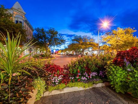 center of fort collins downtown at dusk with flowers and streetlights