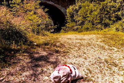 Childhood's End