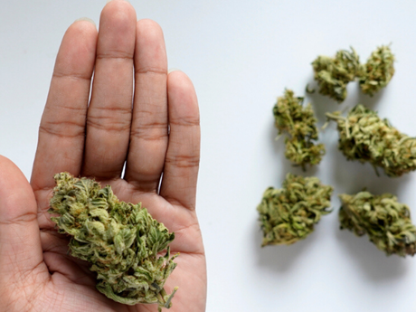 14 Best Weed Strains For Anxiety: List And Benefits 12 14 Best Weed Strains For Anxiety: List And Benefits