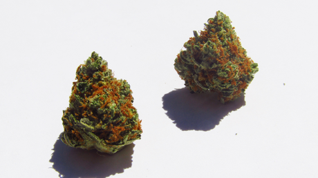 14 Best Weed Strains For Anxiety: List And Benefits 2 14 Best Weed Strains For Anxiety: List And Benefits