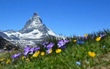pyramid-shaped snow-covered mountain