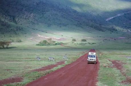 Go on an authentic African safari in the Ngorongoro Crater Highlands