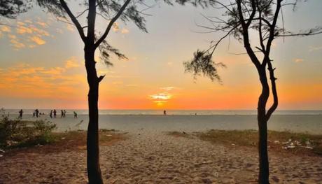 Need A Plan For March? Here’s Why Alleppey Must Be Visited During This Time Beach Side View