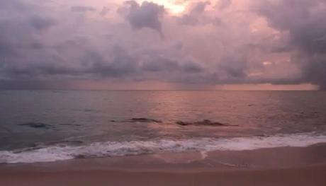 Need A Plan For March? Here’s Why Alleppey Must Be Visited During This Time Marari Beach