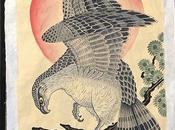 Spiritual Meaning Hawk Crossing Your Path Symbolism Interpretations