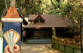 Mannarasala Sri Nagaraja Temple, the Largest Of Its Kind in Kerala