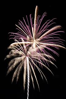 Fireworks 1  [Skt Watch Friday]