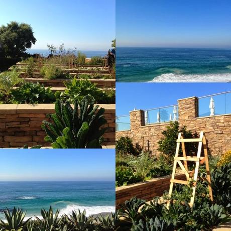 The Montage in Laguna Beach and a Perfect New Years Day!