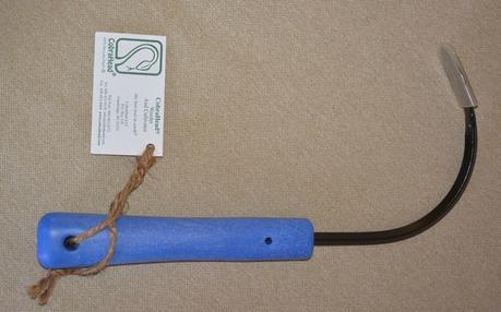 Holiday review Holiday review