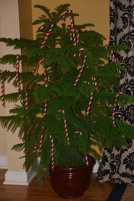 Holiday review Holiday review