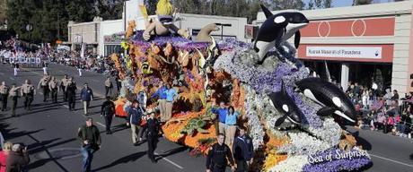 19 PETA protesters were arrested at the 2014 Rose Parade when they attempted to sit in front of SeaWorld's float depicting orcas swimming in the sea. | AP