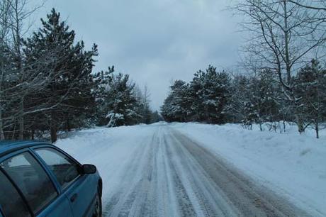 There weren't homes, shelter or food anywhere in sight.