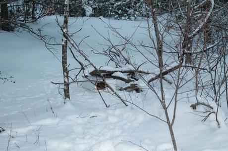 The box that he found was barely visible in the snow, as it was white and partially hidden.