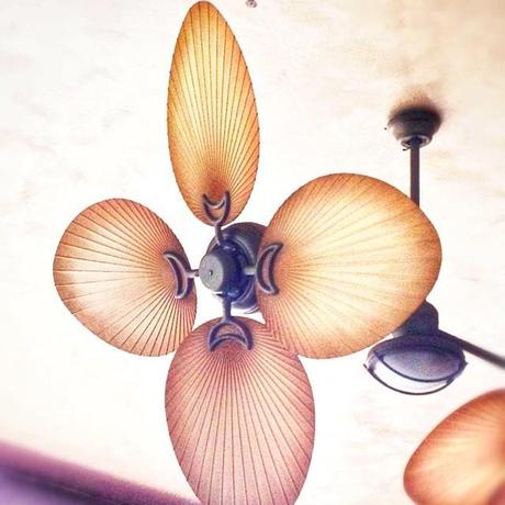 #iphone4s #snapshots #iphoneonly #randomshot #igers #instagood #fan