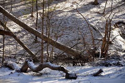 Still More Snow Pictures