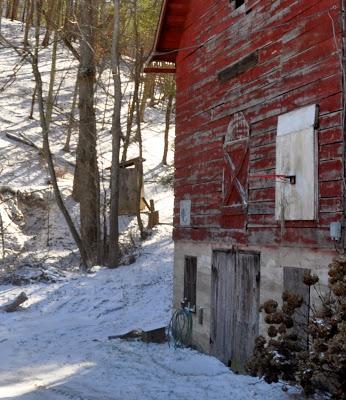 Still More Snow Pictures