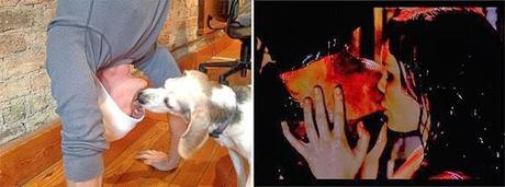 DOG Reenacts Romantic Scene from Iconic Films with Man!