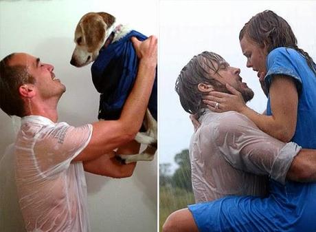 DOG Reenacts Romantic Scene from Iconic Films with Man!