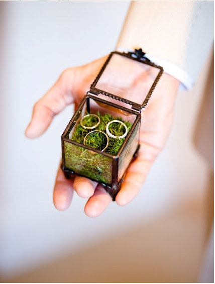 12 Ring Bearer Alternatives with a dash of Eco-Chic
