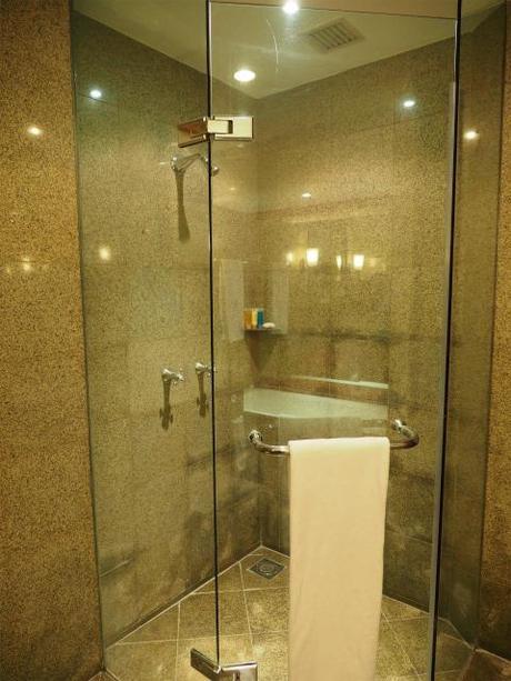 PC210009 ハイアット・リージェンシー・カトマンズ/　Hyatt Regency Katmandu