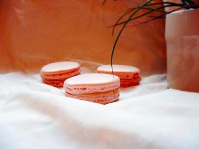 Pink Vanilla Macarons