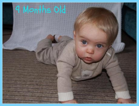 Baby Watch: 9 Months