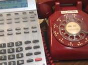 Does Your Pest Company Have Phone?