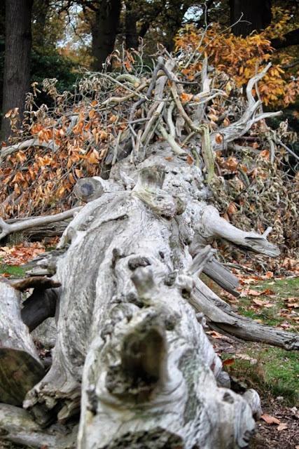 In and Around London... Richmond in the Bleak Midwinter