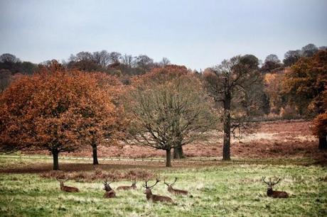 In and Around London... Richmond in the Bleak Midwinter