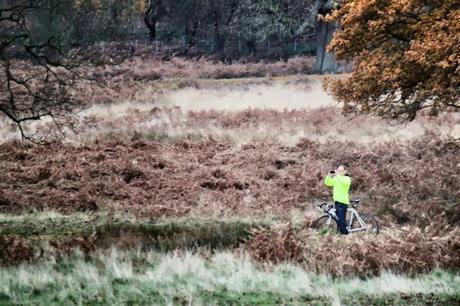 In and Around London... Richmond in the Bleak Midwinter
