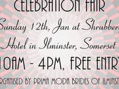 Ilminster Wedding Fair, 12th 2014