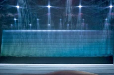 see | art exhibition