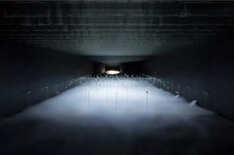 see | art exhibition