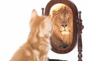 CatLionMirror