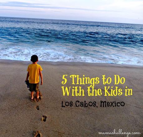 5 Fun Things to Do in Los Cabos, Mexico with a Toddler