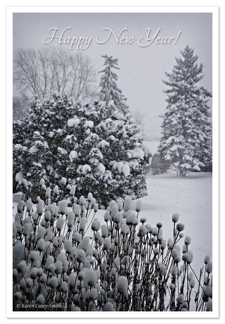 Snowing January 2, 2014 Illinois
