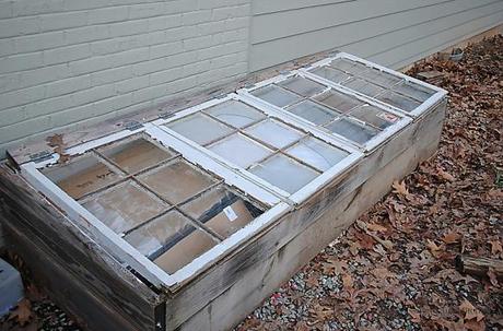 cold frame put to bed