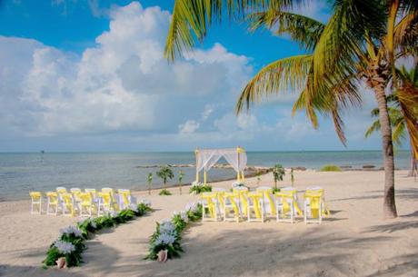 Yellow wedding chairs for outdoor wedding