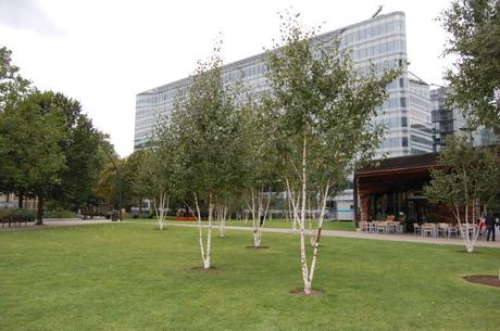 Potters Field Park, London - Birch Trees and Cafe