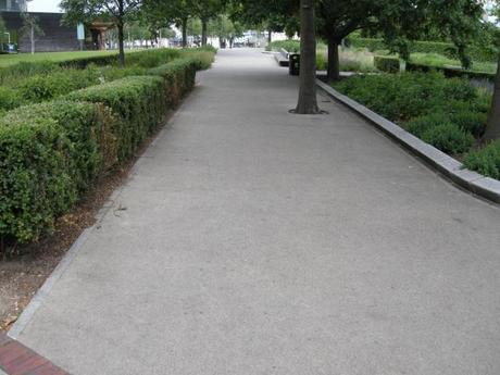 Potters Field Park, London - Existing Trees Within Resin Bound Paving