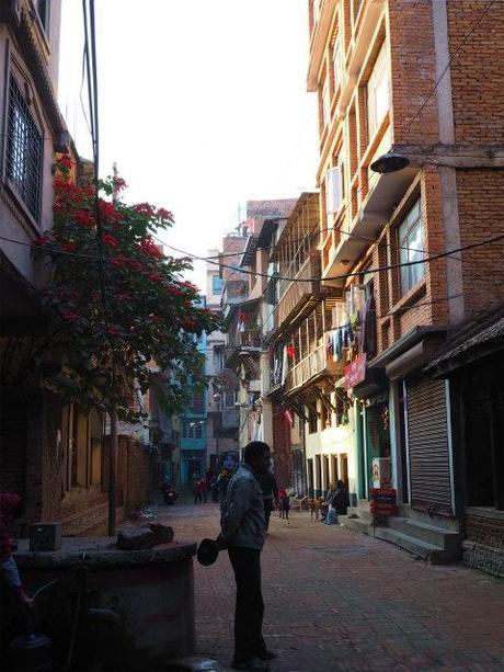 PC220436 カトマンズ,荘厳な遺跡と雑踏と / Kathmandu, Solemn remains and crowds