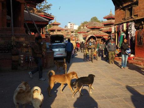 PC220393 カトマンズ,荘厳な遺跡と雑踏と / Kathmandu, Solemn remains and crowds