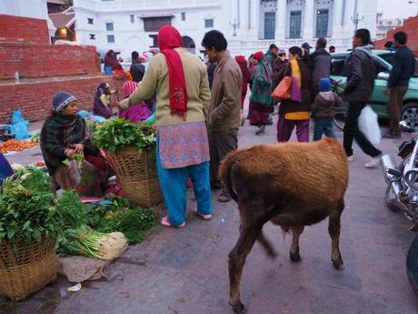 PC210037 カトマンズ,荘厳な遺跡と雑踏と / Kathmandu, Solemn remains and crowds