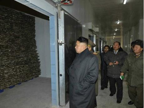 Kim Jong Un inspects a seafood refrigeration facility recently constructed by KPA Unit #534 (Photo: Rodong Sinmun).