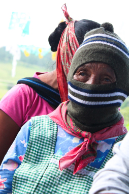 ezln_history3b