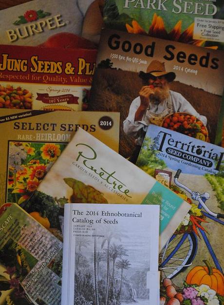 2014 catalogues, first harvest