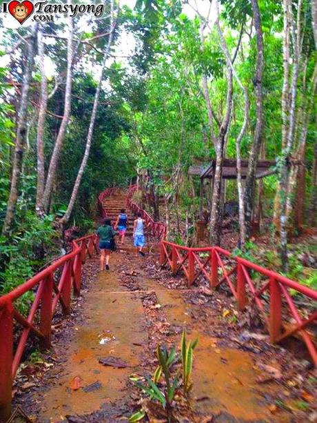 What to Expect in Ermita Hill in Baler Aurora?