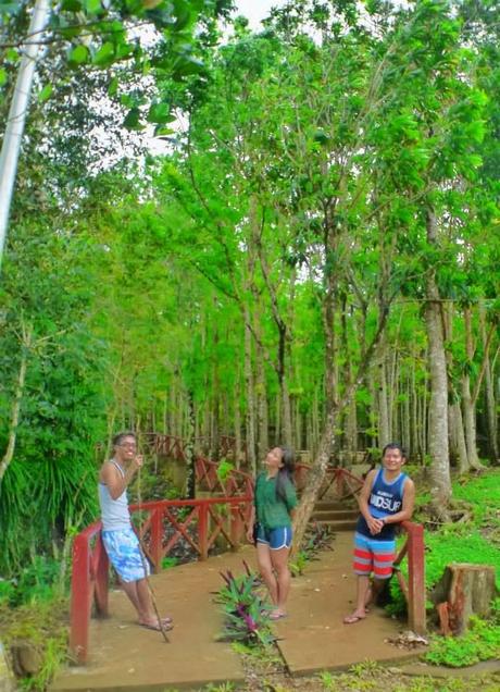 What to Expect in Ermita Hill in Baler Aurora?