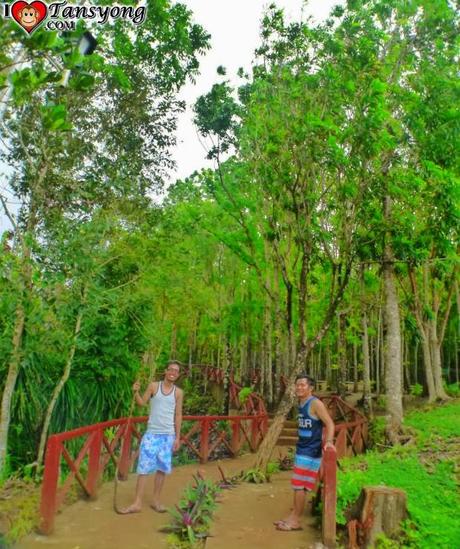 What to Expect in Ermita Hill in Baler Aurora?